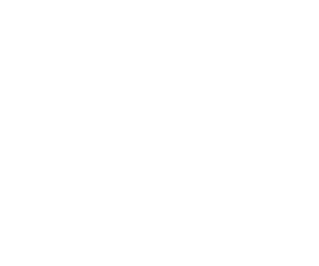 Polygon Visuals logo